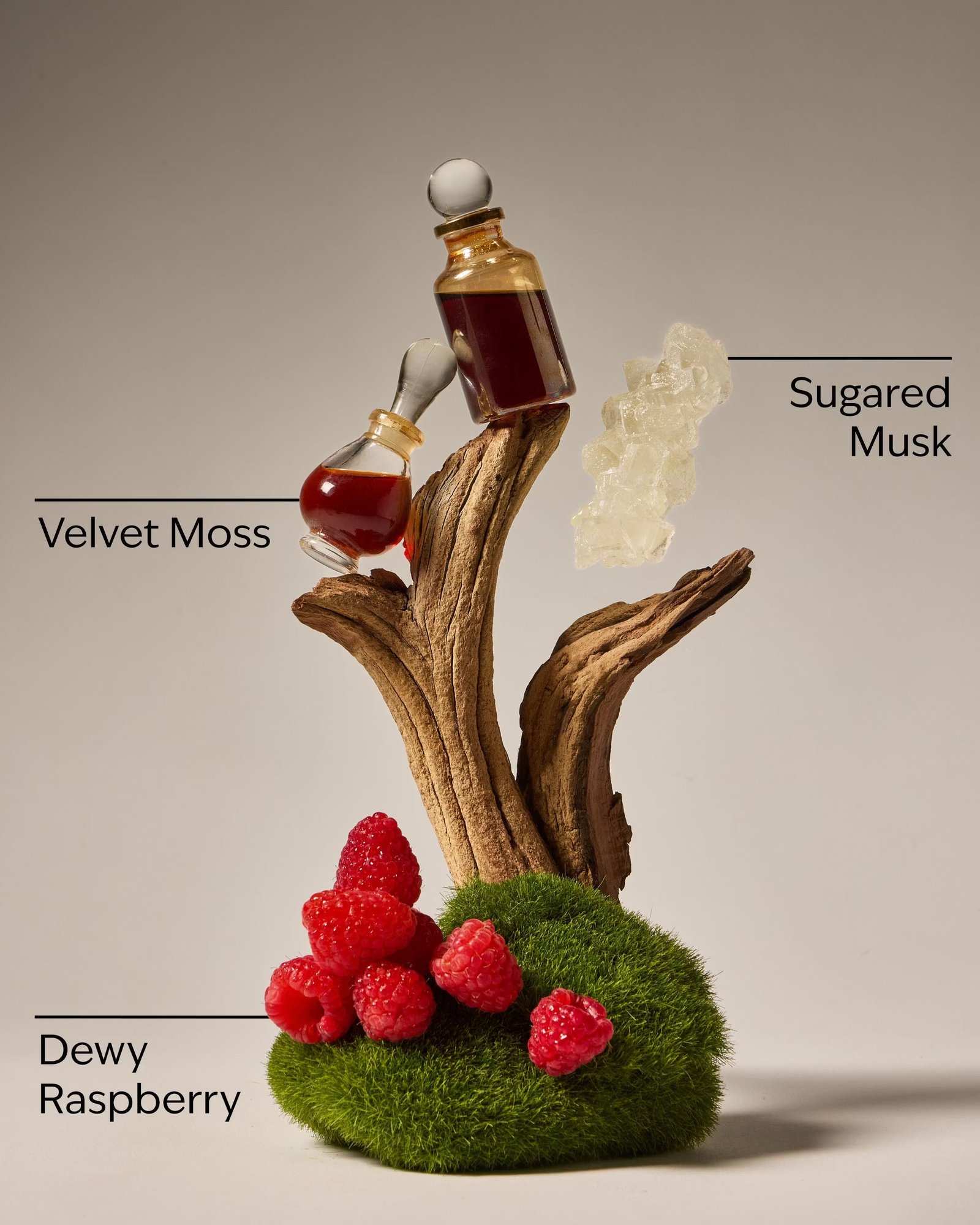 Fruity Musk Body Wash - Image 3