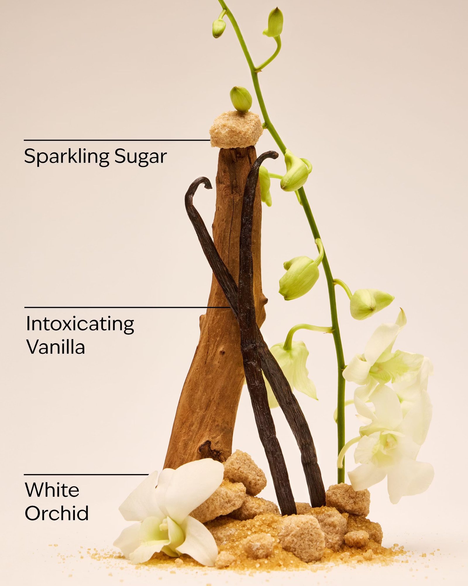 Warm Vanilla Sugar Hand Cream - Image 3
