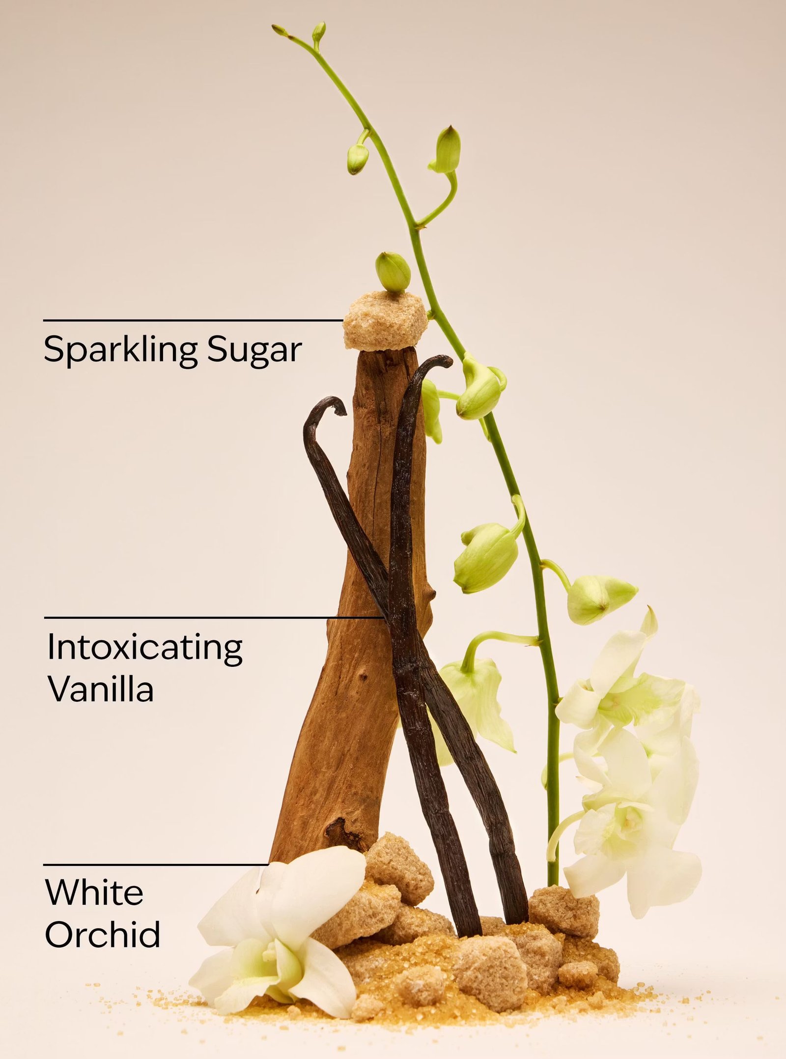 Warm Vanilla Sugar Fine Fragrance Mist - Image 3