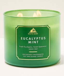 Eucalyptus Mint 3-Wick Candle