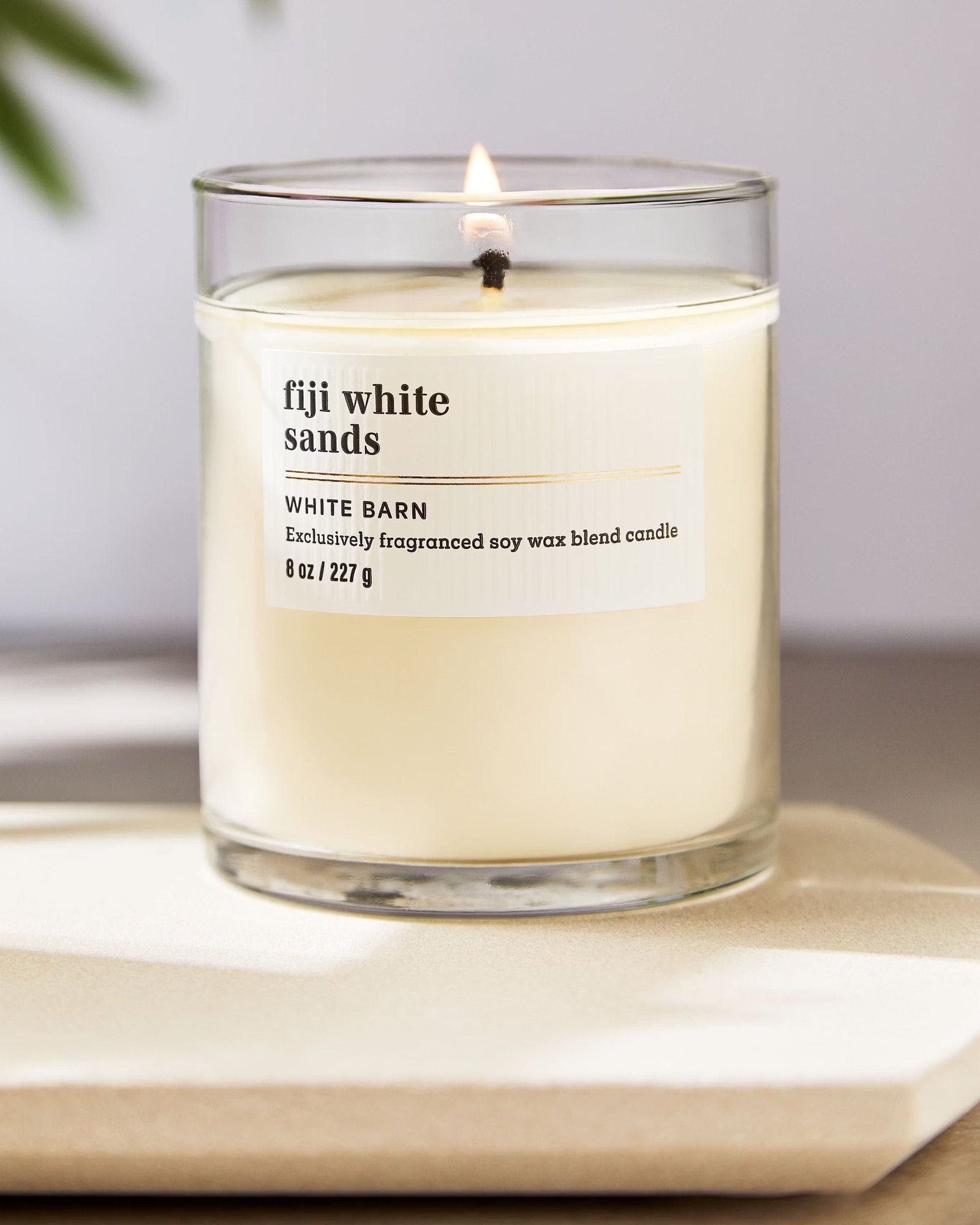 Fiji White Sands Single Wick Candle - Image 5