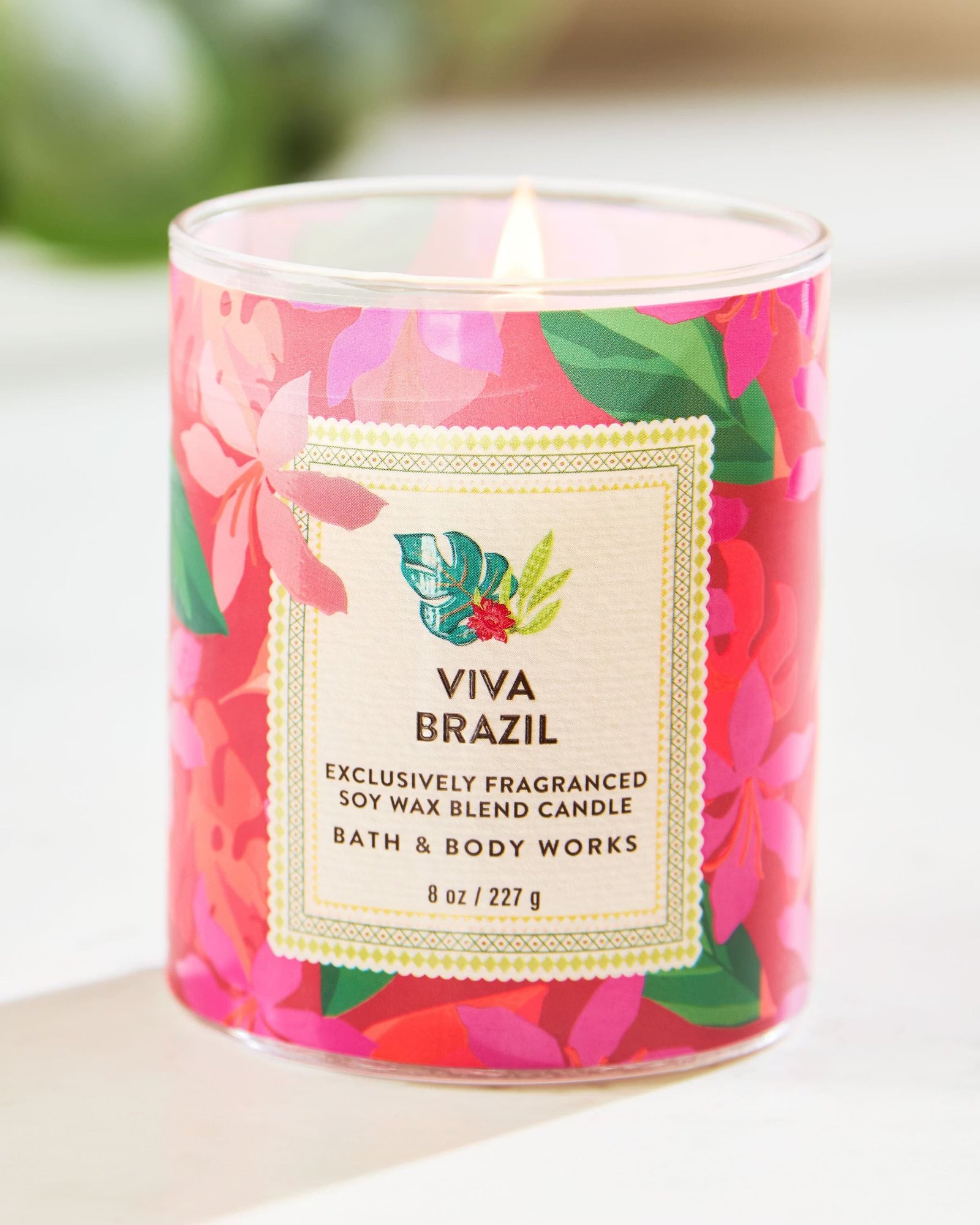 Viva Brazil Single Wick Candle - Image 6