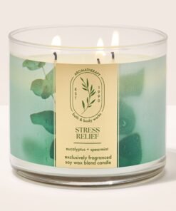 Eucalyptus Spearmint 3-Wick Candle