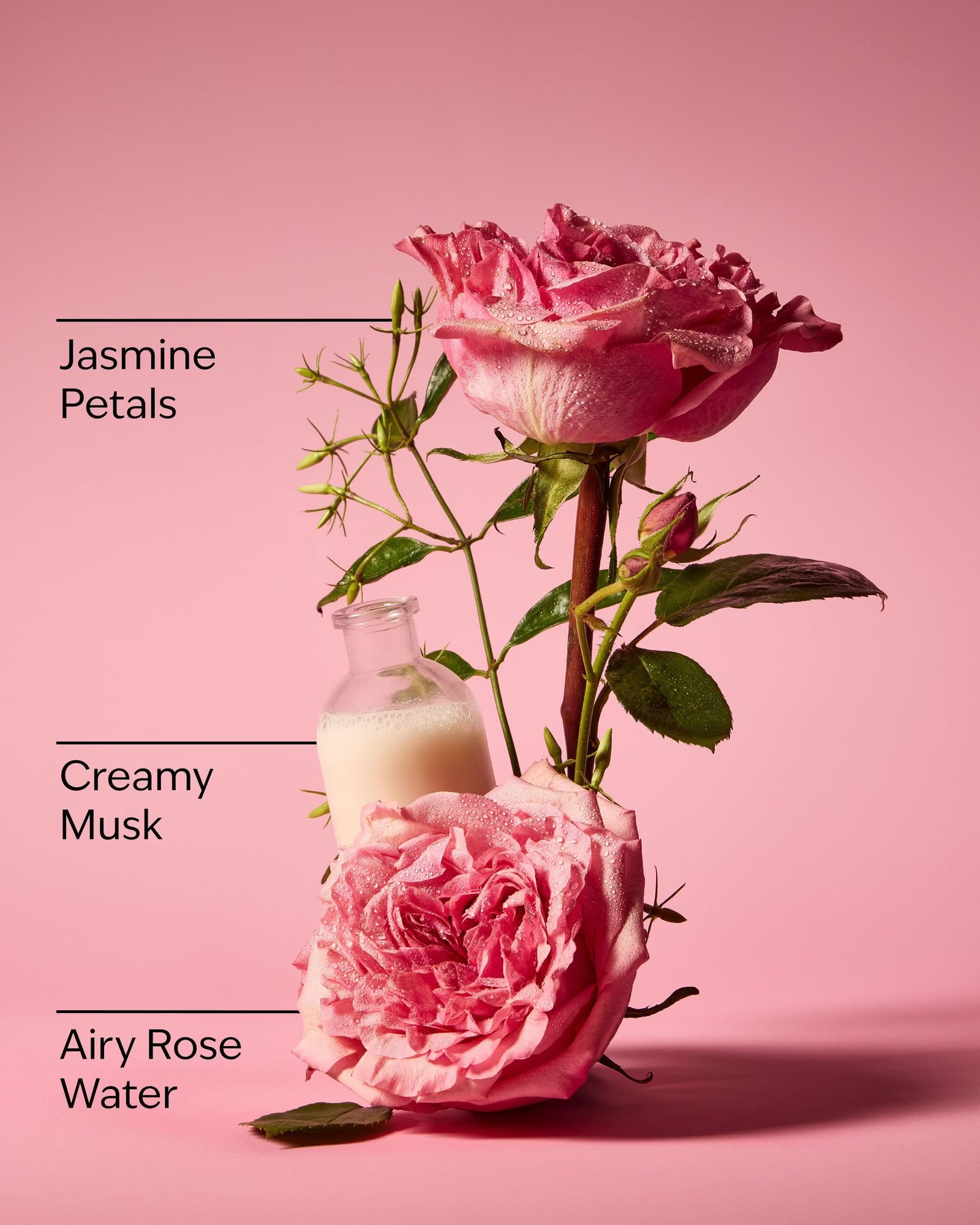 Rose Body Lotion - Image 3