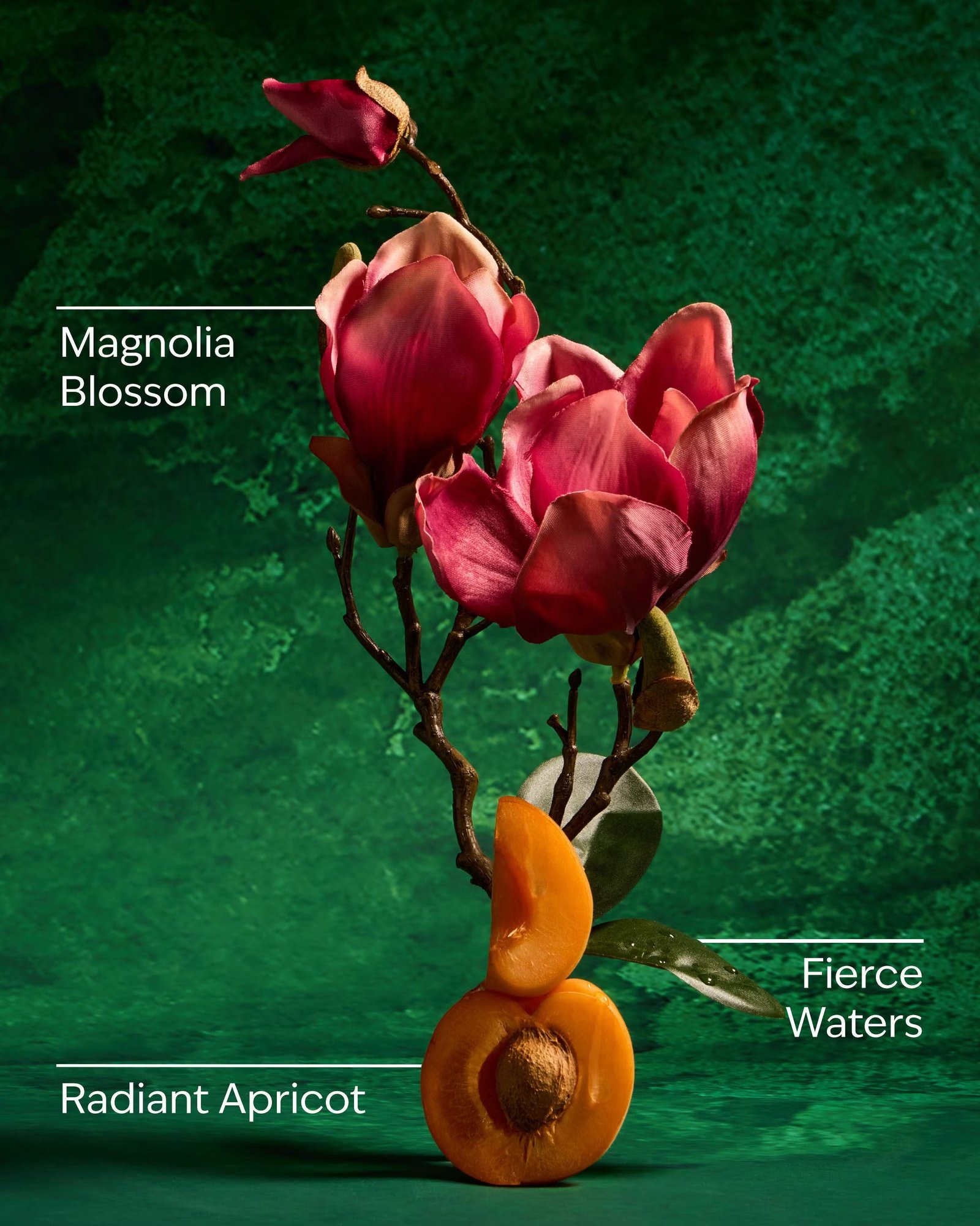 Mulan Body Wash - Image 3
