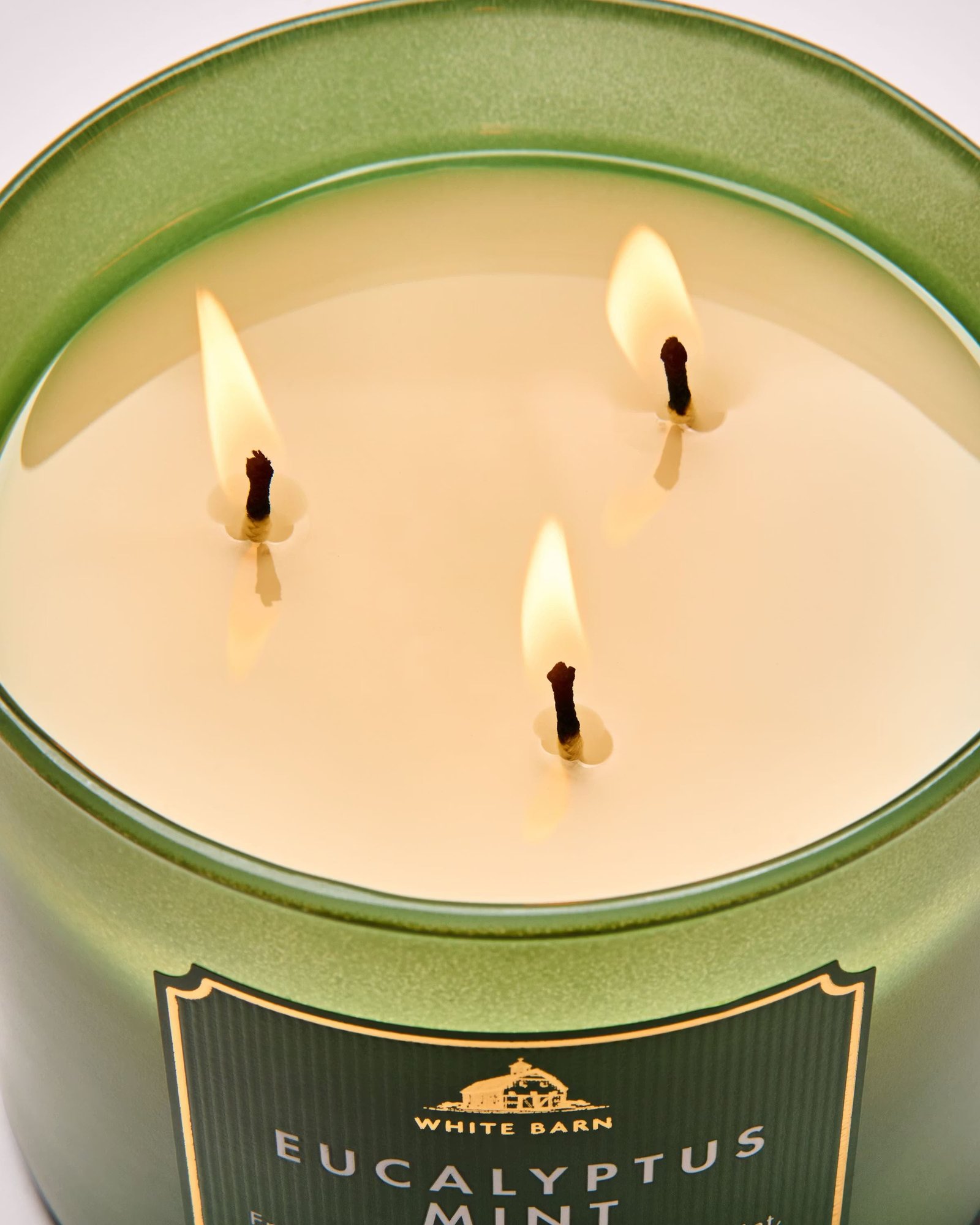 Eucalyptus Mint 3-Wick Candle - Image 5