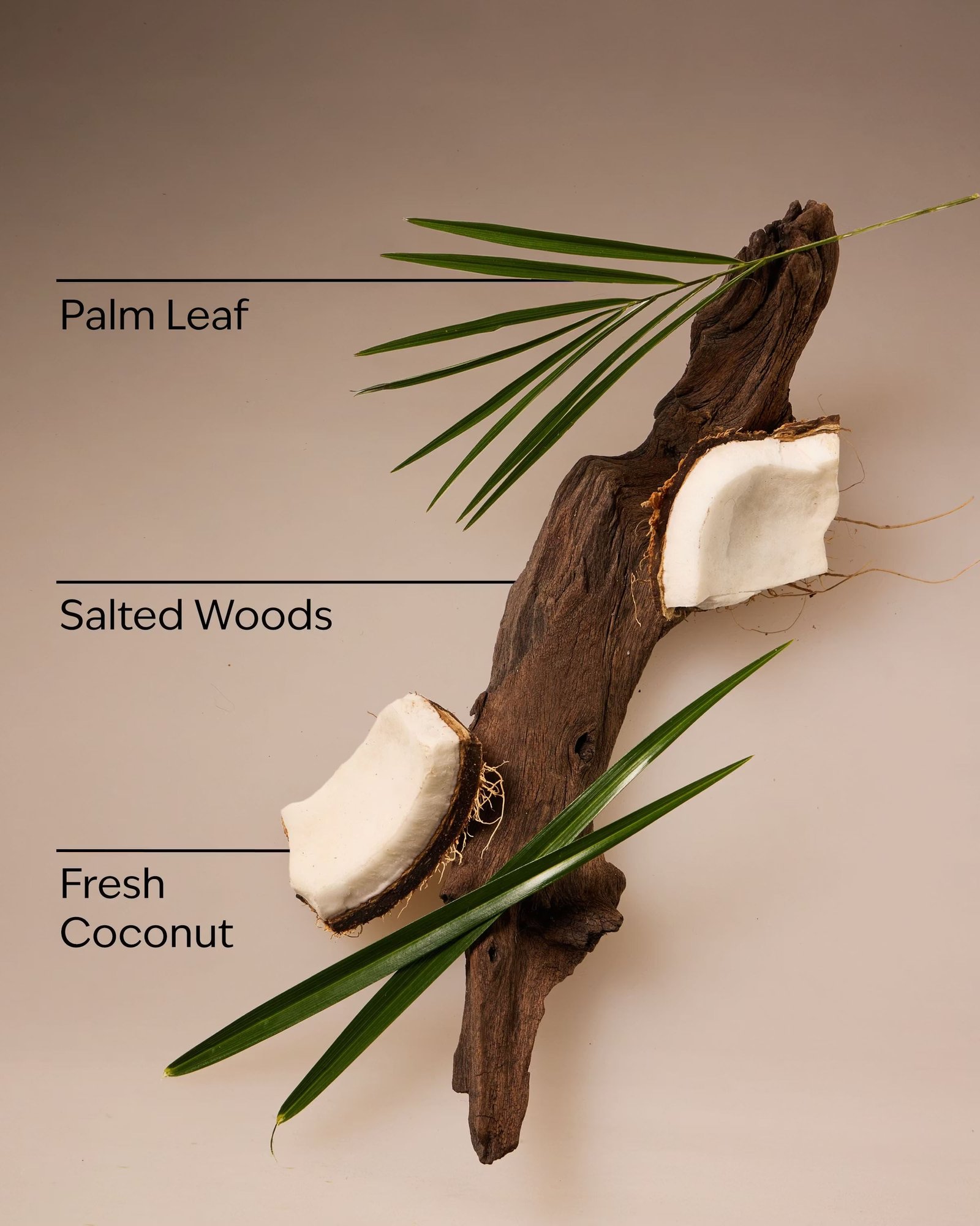 Coconut Nectar Travel Size Fine Fragrance Mist - Image 3