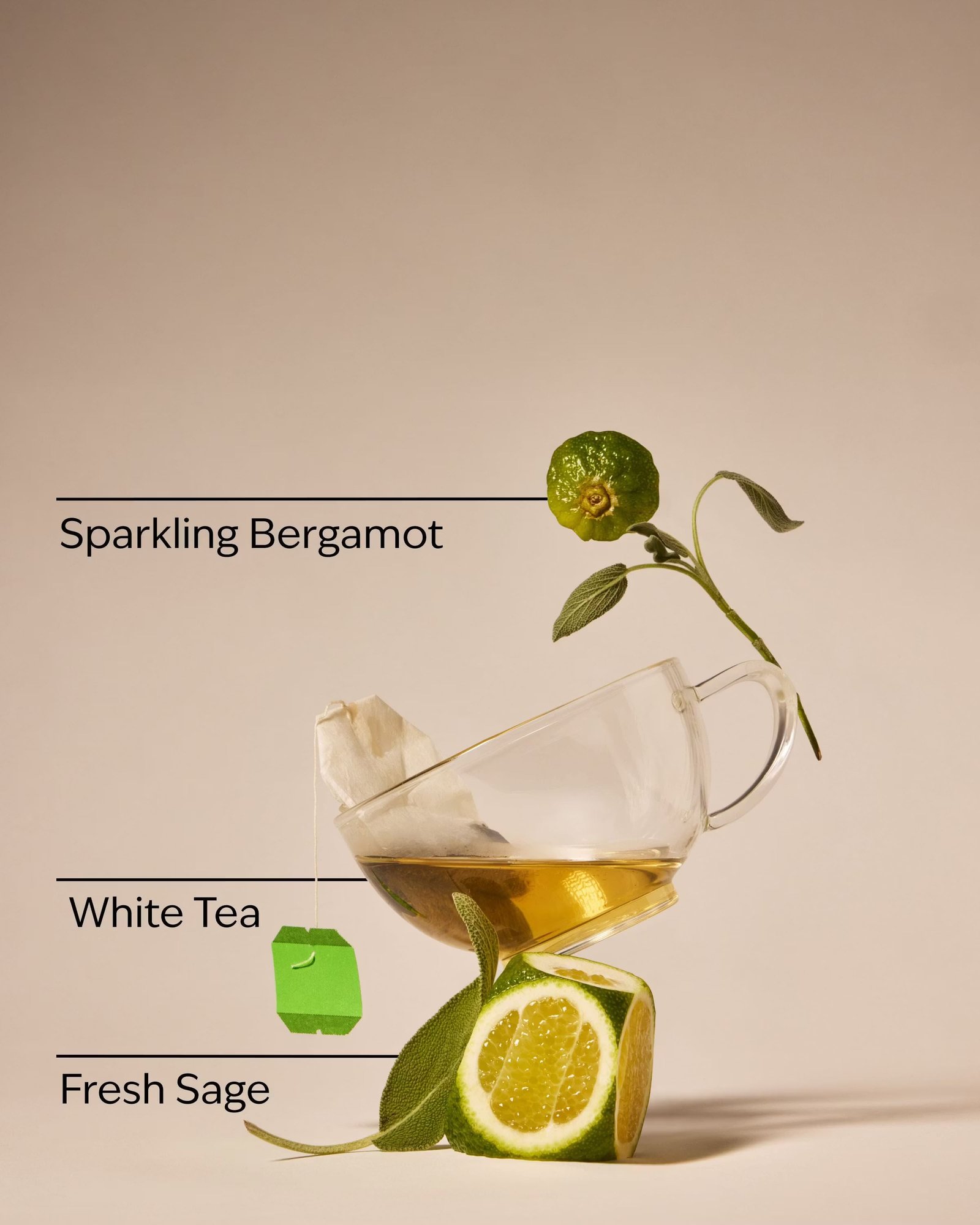 White Tea & Sage 3-Wick Candle - Image 3