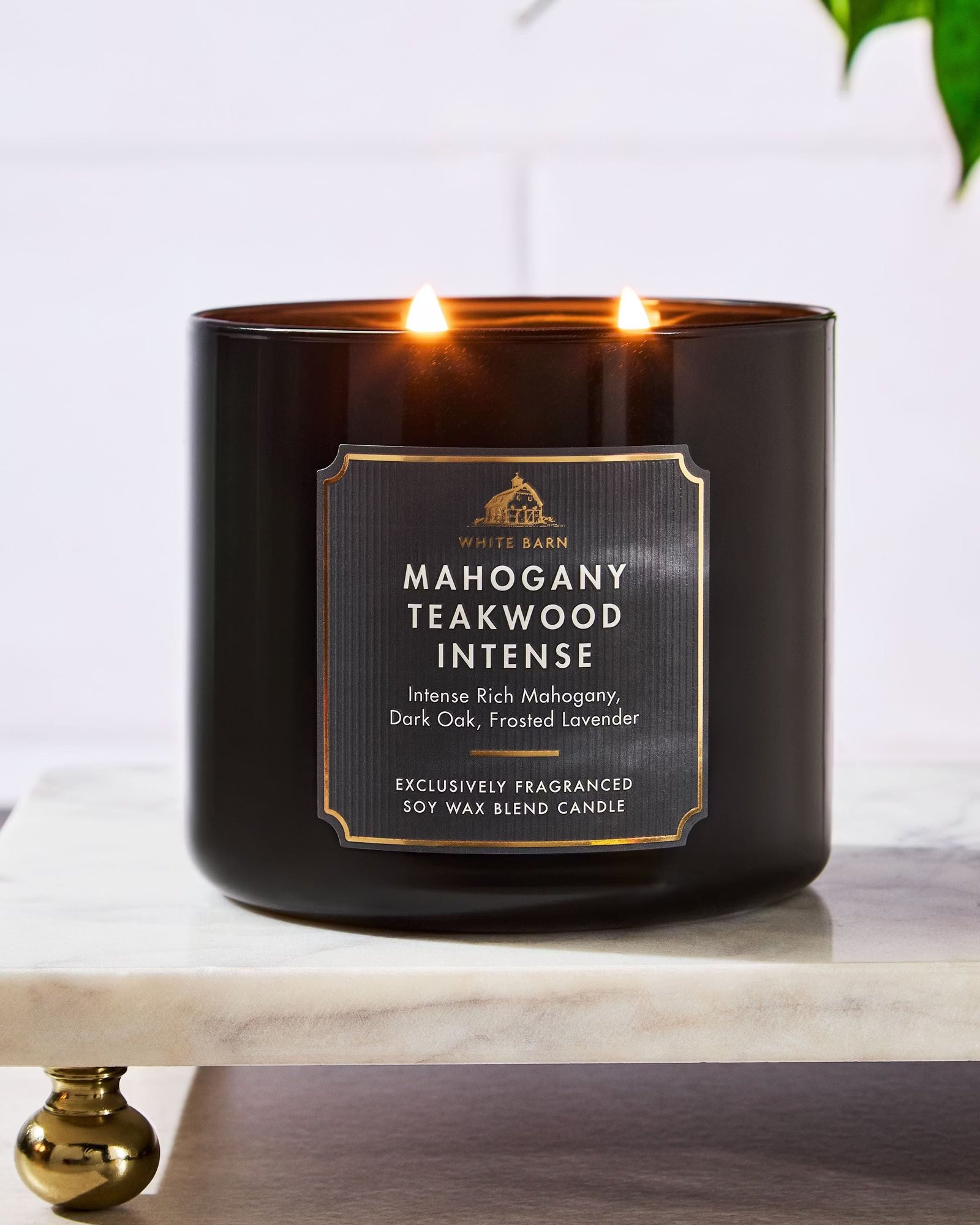 Mahogany Teakwood Intense 3-Wick Candle - Image 6