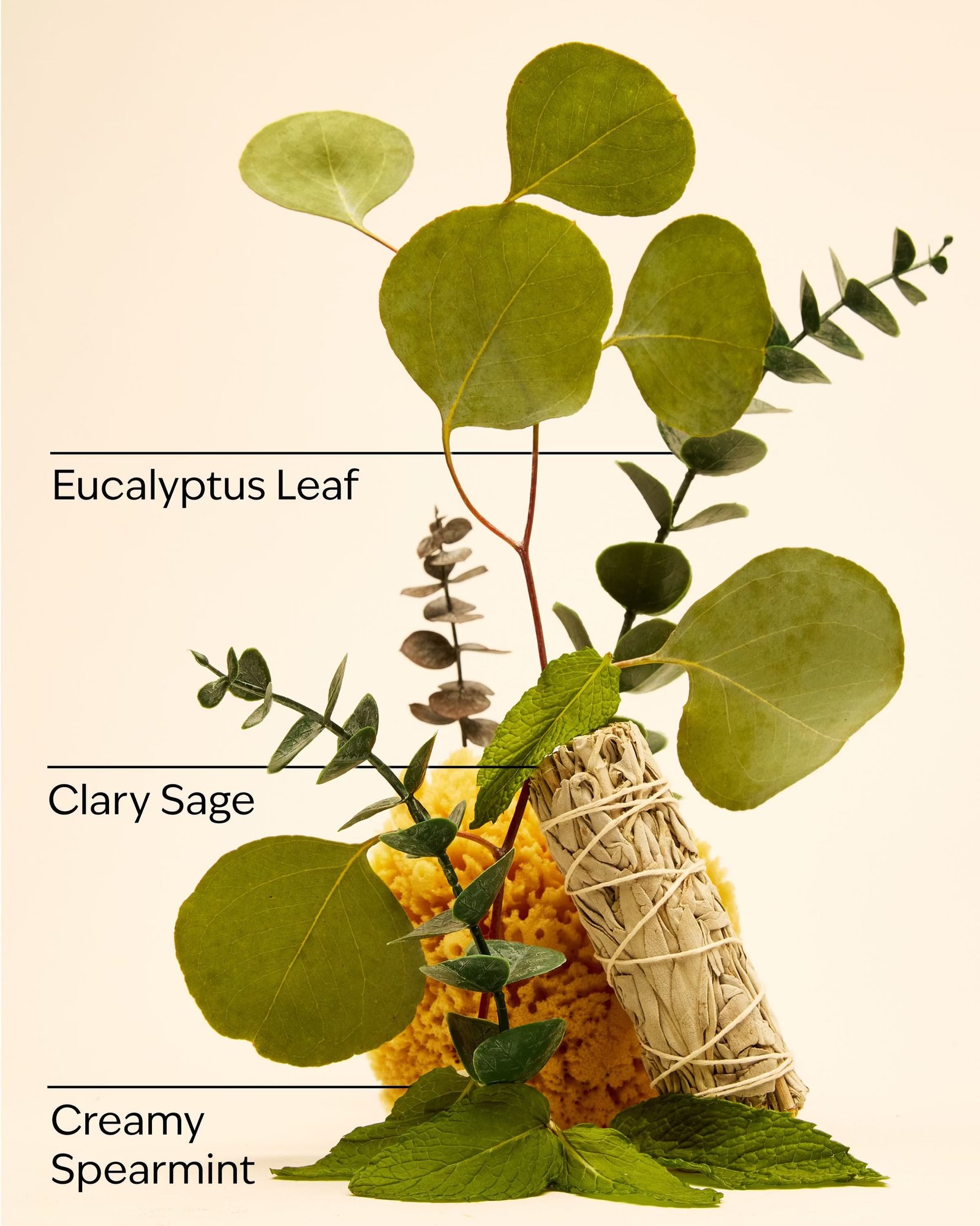Eucalyptus Spearmint Essential Oil Mist - Image 3