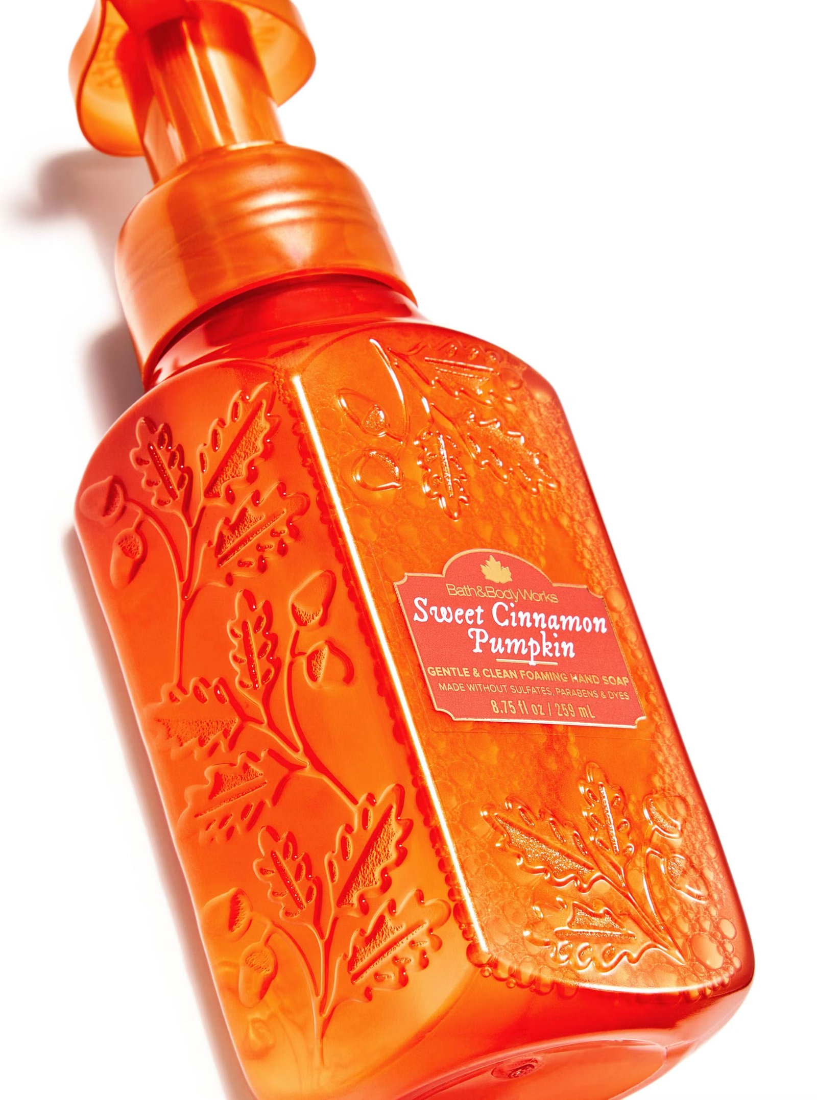 Sweet Cinnamon Pumpkin Gentle & Clean Foaming Hand Soap - Image 2