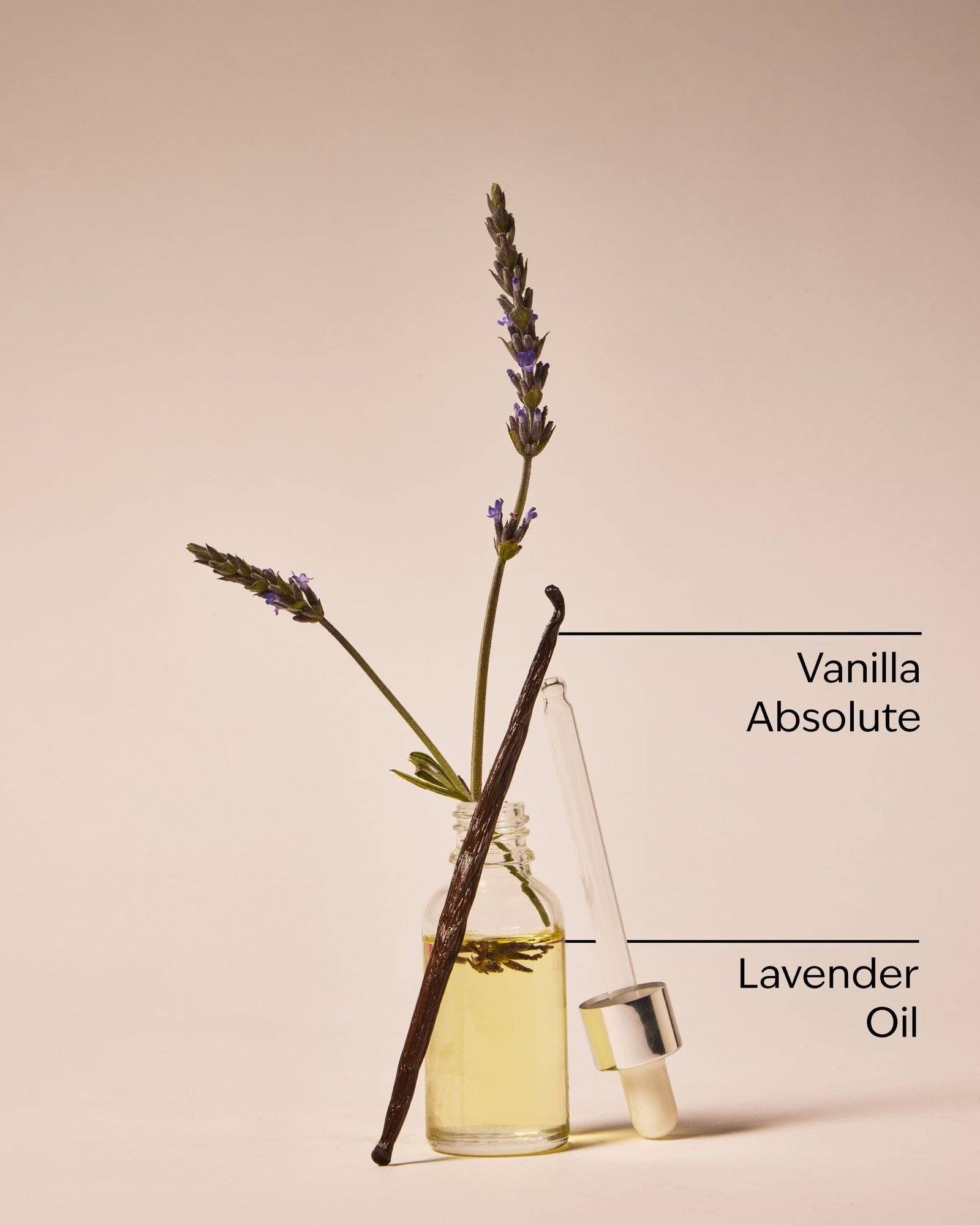 Lavender Vanilla Body Wash & Foam Bath - Image 5