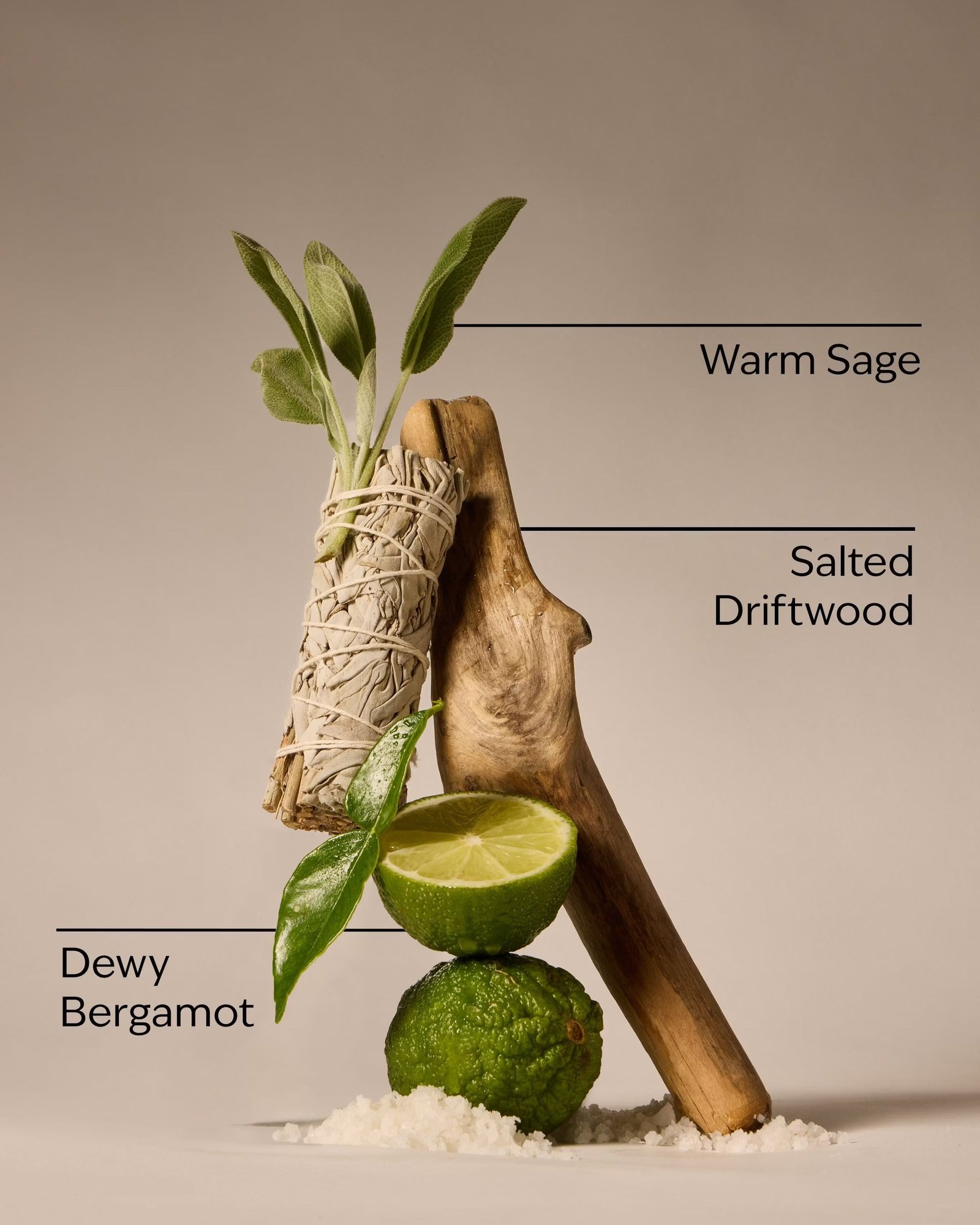 Salted Shorelines Fine Fragrance Mist - Image 3