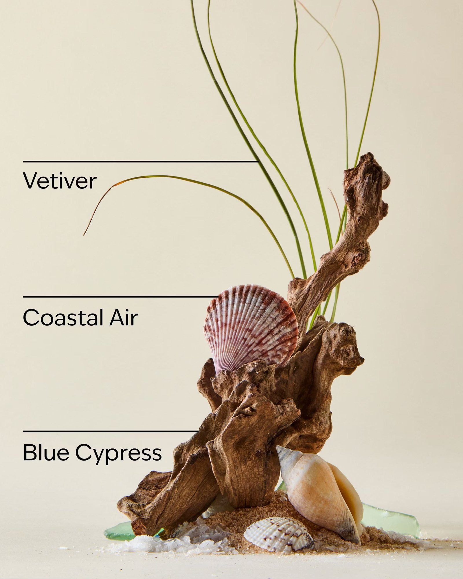 Ocean Travel Size Body Wash - Image 3