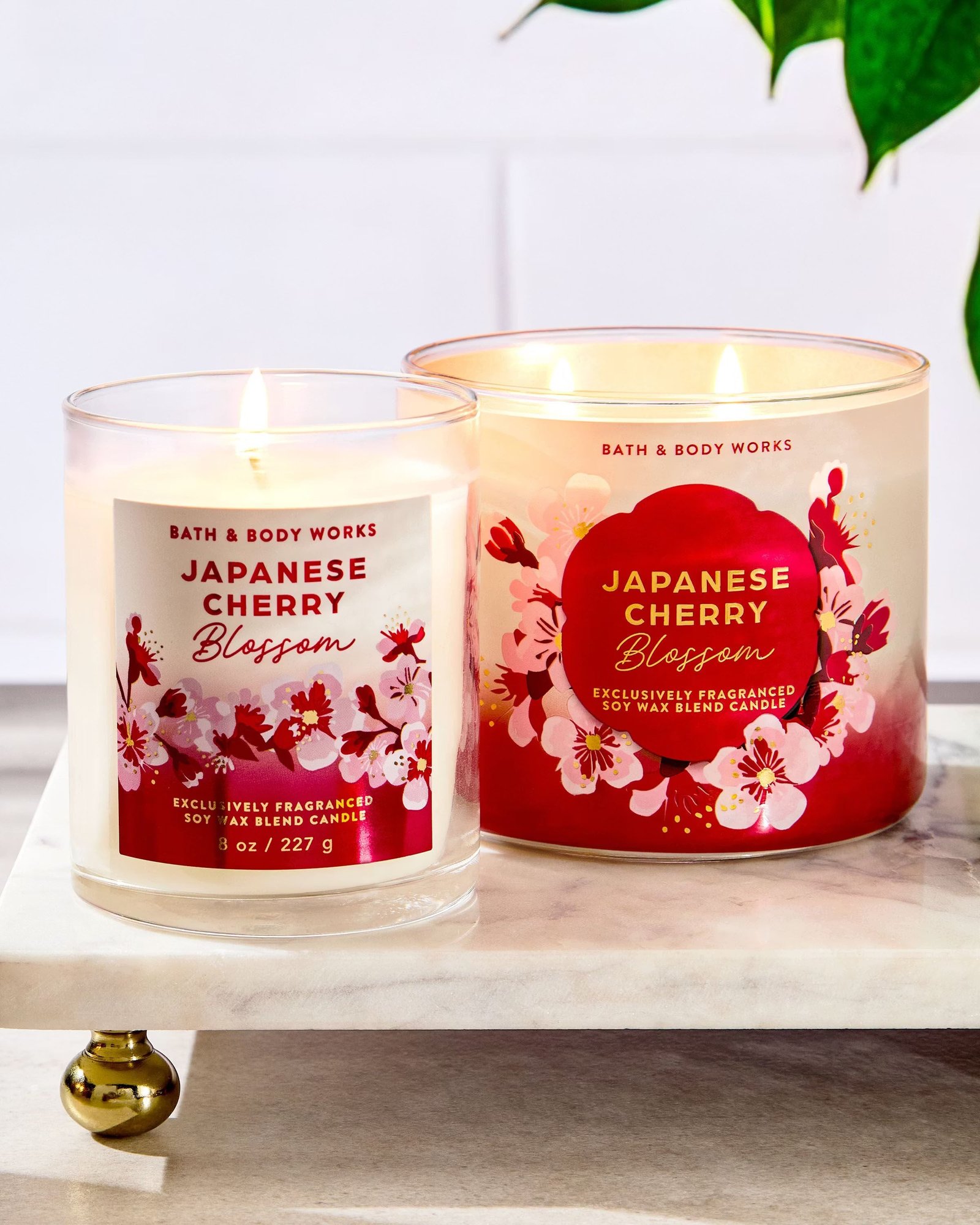 Japanese Cherry Blossom Single Wick Candle - Image 6