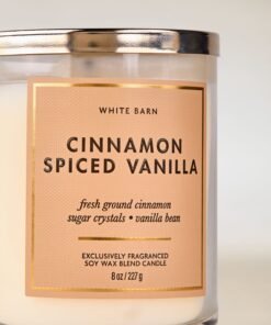 Alternative view of Cinnamon Spiced Vanilla Single Wick Candle