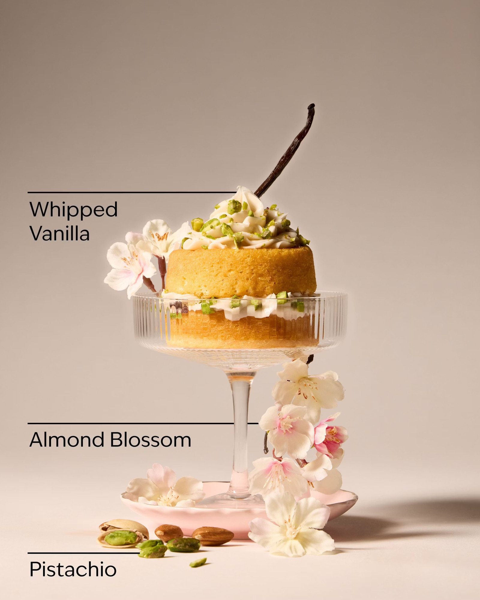 Toasted Pistachio Travel Size Fine Fragrance Mist - Image 3