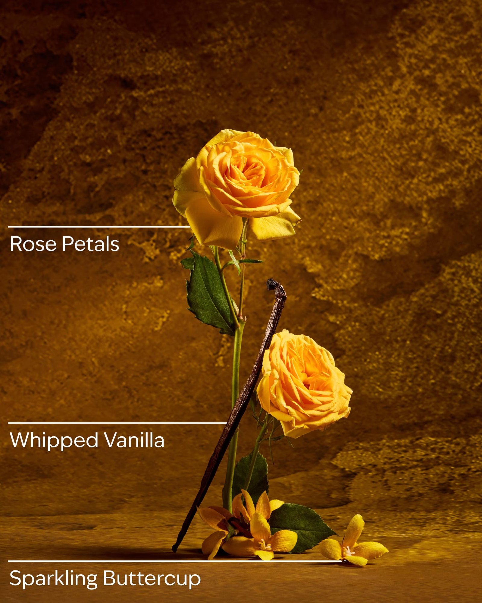 Belle Body Wash - Image 3