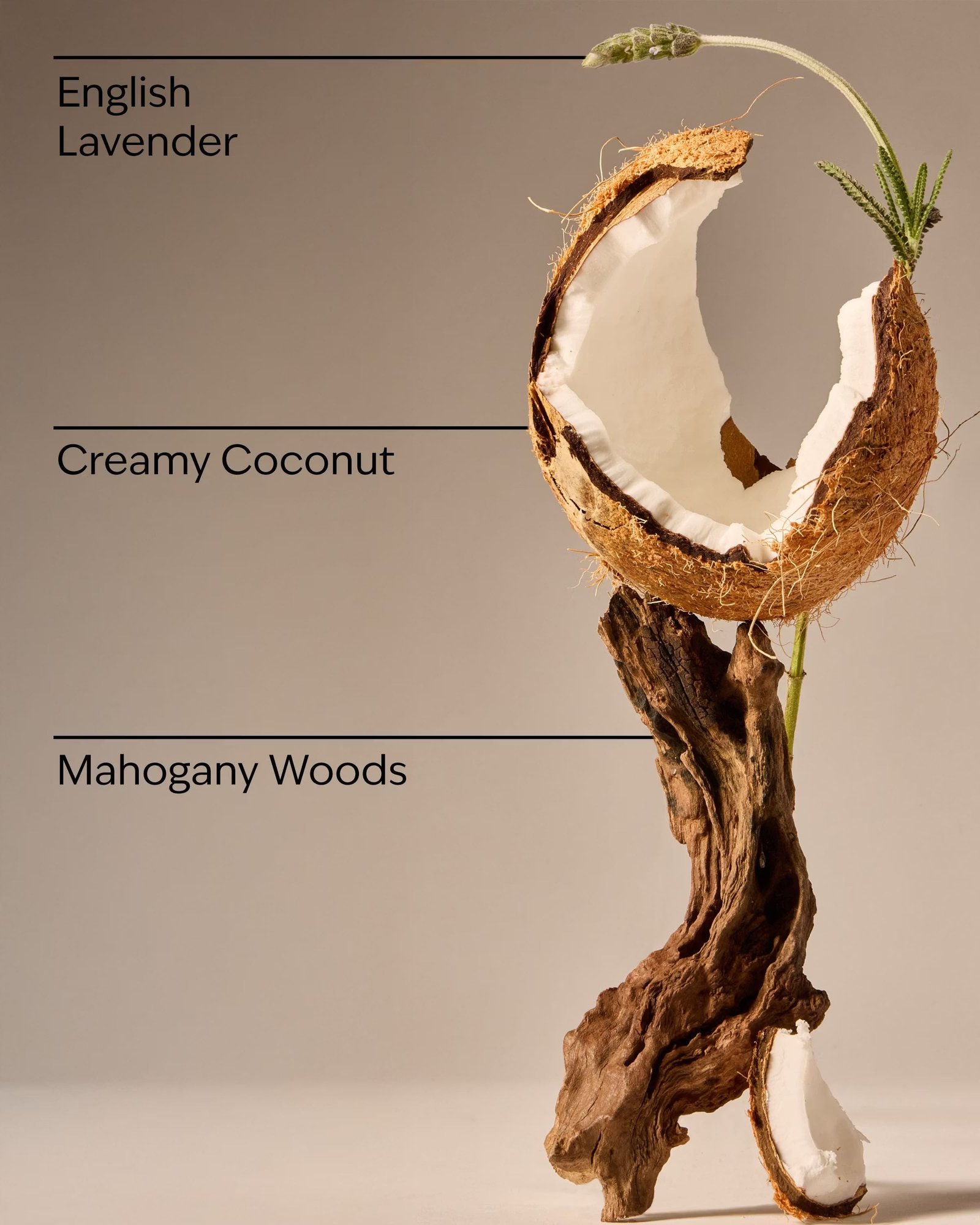 Mahogany Coconut Single Wick Candle - Image 3