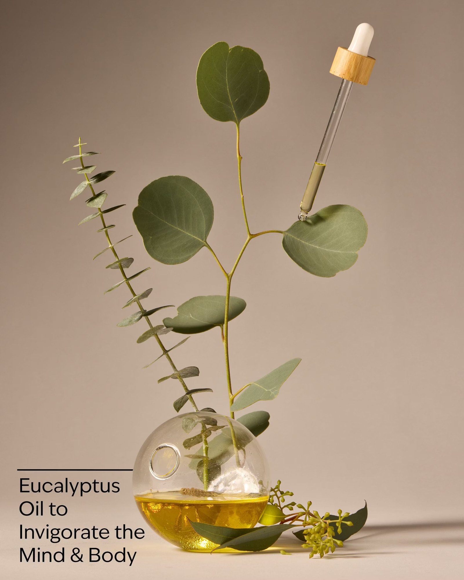 Eucalyptus Essential Oil Mist - Image 3